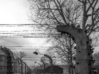 Auschwitz I