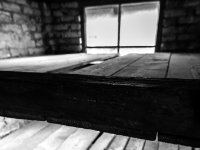 Auschwitz II-Birkenau