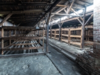 Auschwitz II-Birkenau