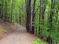 Beskid Śląski