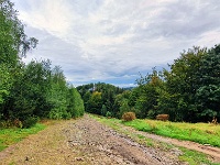 Beskid Śląski