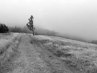 Beskid Śląski