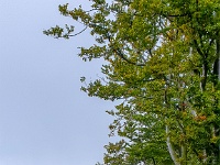 Beskid Śląski