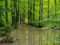 Beskid Śląski