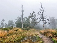 Beskid Śląski