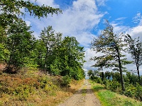 Klimczok