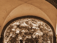 Nikiszowiec