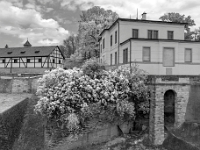 Twierdza Königstein
