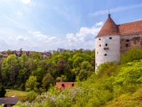 Budziszyn