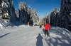 W drodze do Meribel 1450m