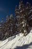 Courchevel 1850m