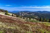Wielka Racza, 1236 m n.p.m.