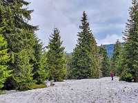 Beskid Żywiecki