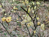 Beskid Żywiecki
