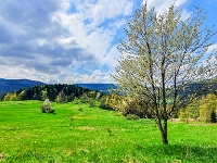 Korbielów