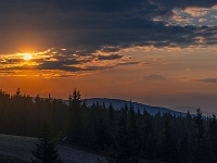 Hala Miziowa