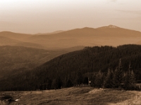 Hala Miziowa