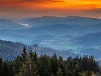 Hala Miziowa