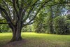 Białowieża - Park Pałacowy