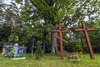 Białowieża