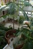 Azia Resort and Spa
