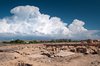 Park archeologiczny w Pafos