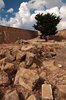 Park archeologiczny w Pafos