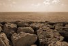 Pafos
