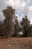 Park archeologiczny w Pafos