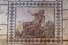 Park archeologiczny w Pafos
