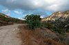 W Górach Troodos