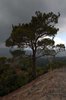 W Górach Troodos