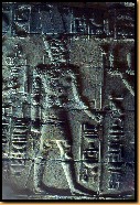 image0002.jpg