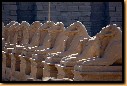 image0011.jpg
