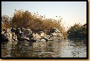 image0075.jpg