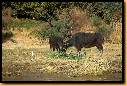image0076.jpg