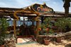 Dahab