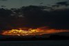 Camargue