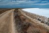 Camargue