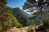 Andora
