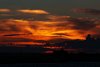 Camargue