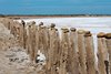 Camargue