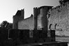 Carcassonne