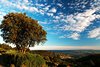 Mont Ventoux