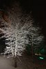 Peisey-Vallandry