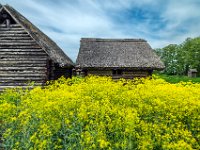Ostrów Lednicki
