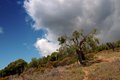Chalkidiki - Sithonia