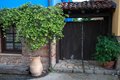 Chalkidiki - Sithonia