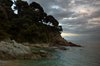 Lloret de Mar
