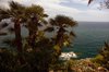 Nadmorski ogród w LLoret de Mar